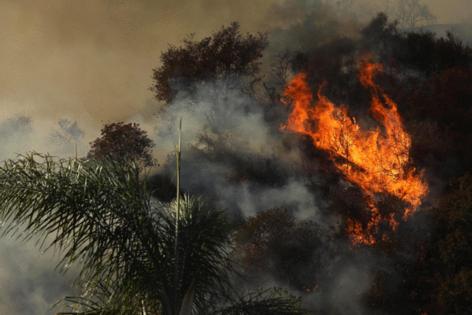 Genaro Molina/Los Angeles Times/TNS