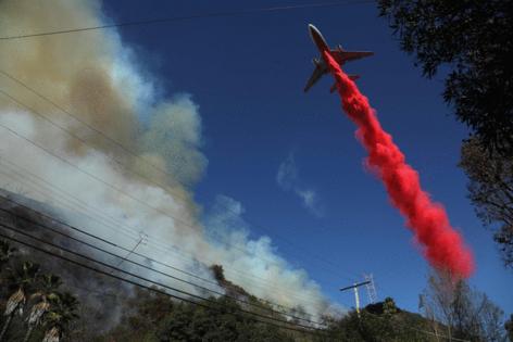 Genaro Molina/Los Angeles Times/TNS