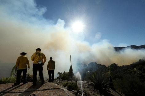 Genaro Molina/Los Angeles Times/TNS