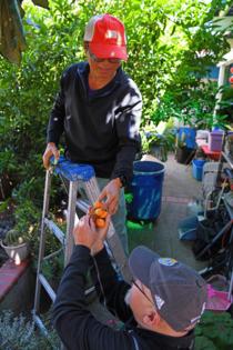 Jose Carlos Fajardo/Bay Area News Group/TNS