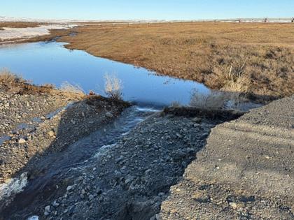 Alaska Department of Transportation & Public Facilities/TNS