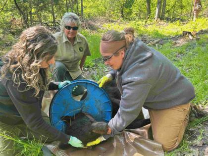 Michigan Department of Natural Resources/Michigan Department of Natural Resources/TNS