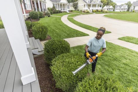 Stihl/Stihl/TNS