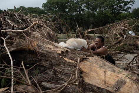 A woman lifts her dog over a large tree that was uprooted by flash flooding in Louise Hays Park next to the Guadalupe River on July 5, 2025, in Kerrville, Texas. (Jim Vondruska/Getty Images/TNS)