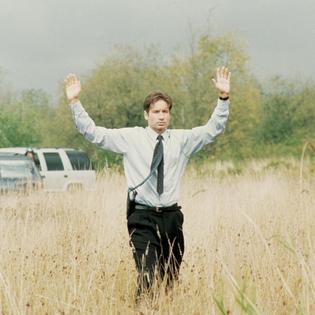 Bang Showbiz / David Duchovny needed to point out character inconsistencies in The X-Files