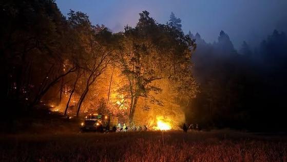 U.S. Forest Service/TNS/TNS