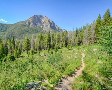 Steve Lagreca/Dreamstime/TNS