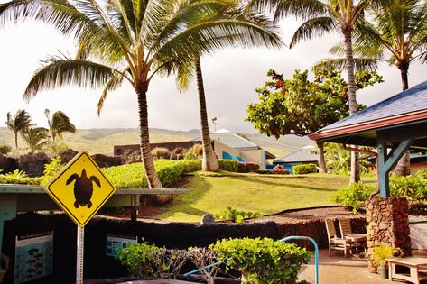 Maui Ocean Center. Dreamstime/TCA