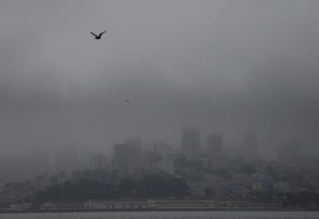 Justin Sullivan/Getty Images North America/TNS