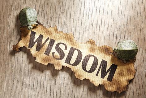 Wisdom. Dreamstime/TCA
