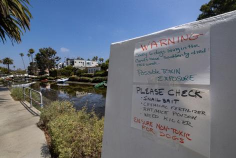 Allen J. Schaben/Los Angeles Times/TNS