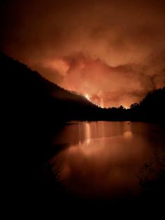 U.S. Forest Service/U.S. Forest Service/TNS
