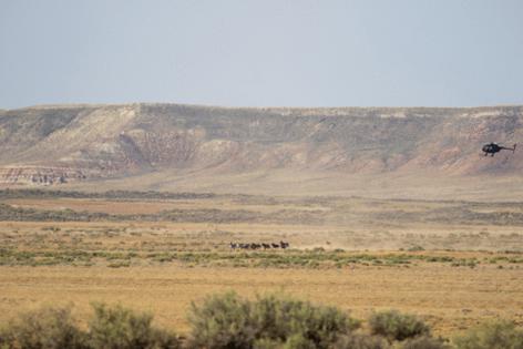 Jacqueline Alderman/Bureau of Land Management/TNS/TNS