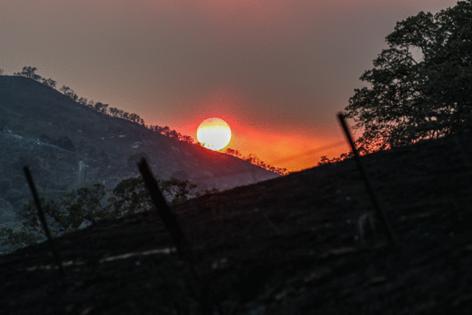 Robert Gauthier/Los Angeles Times/TNS