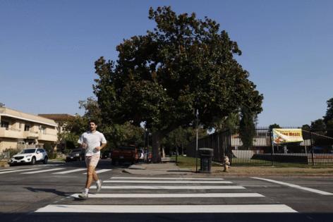 Carlin Stiehl/Los Angeles Times/TNS