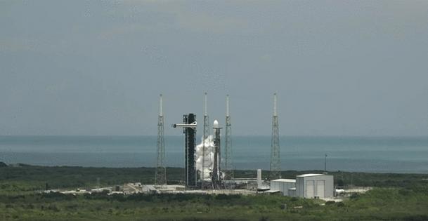 SpaceX/SpaceX/TNS