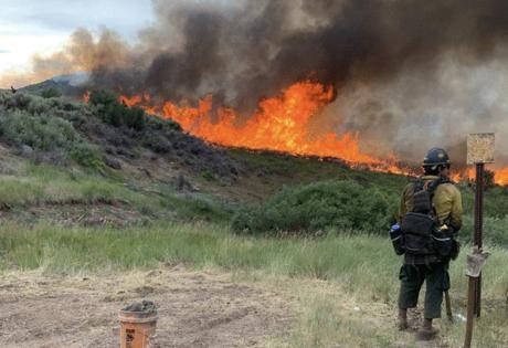 Colorado Springs Fire Department/Colorado Springs Fire Department/TNS