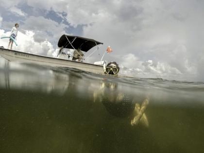 MARTHA ASENCIO-RHINE/Tampa Bay Times/TNS