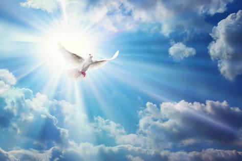 Peace. Dreamstime/TCA