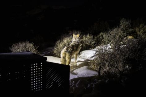 Colorado Parks and Wildlife/TNS