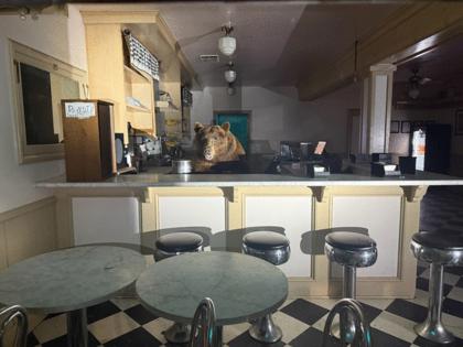El Dorado County Sheriff's Office/El Dorado County Sheriff's Office/TNS