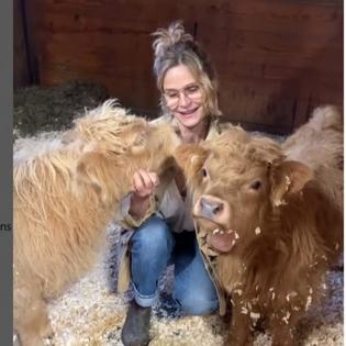 Bang Showbiz / Kyra Sedgwick and her baby cows (c) Instagram.