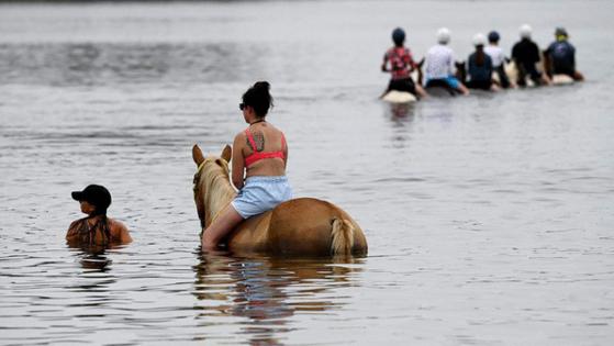 Tiffany Tompkins/Bradenton Herald/TNS