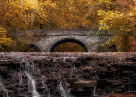 arthurgphotography // Shutterstock