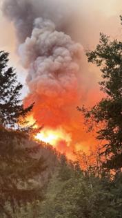 U.S. Forest Service/U.S. Forest Service/TNS