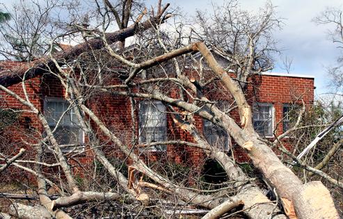 Tree falling on house,  an act of God. Dreamstime/TCA