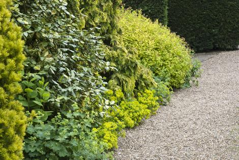 To create a gravel path, begin using the natural path as an outline. (Dreamstime/TCA)