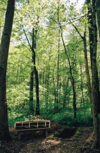 (Orion Pahl/Larkspur Conservation)/KFF HEALTH NEWS/TNS