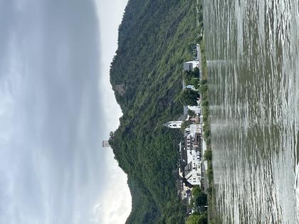 Castles along the Rhine. Andy Yemma