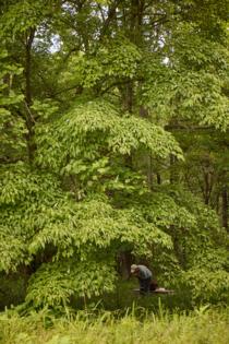 (Andrea Berhends/Larkspur Conservation)/KFF HEALTH NEWS/TNS