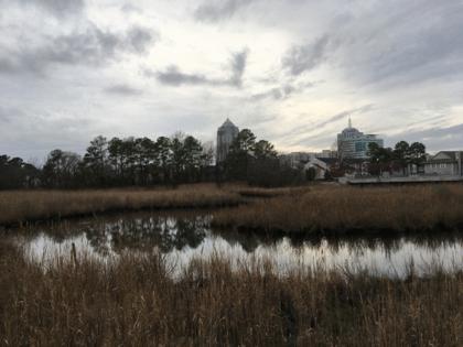 David Schleck/The Virginian-Pilot/TNS