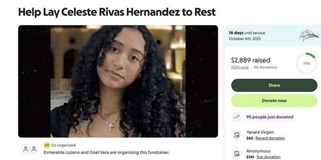 GoFundMe/TNS