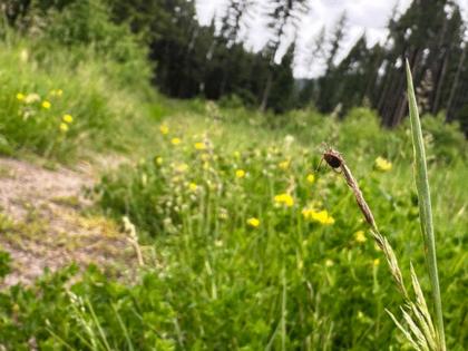 Aaron Bolton/Montana Public Radio/KFF HEALTH NEWS/TNS