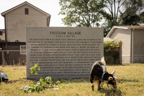 E. Jason Wambsgans/Chicago Tribune/TNS