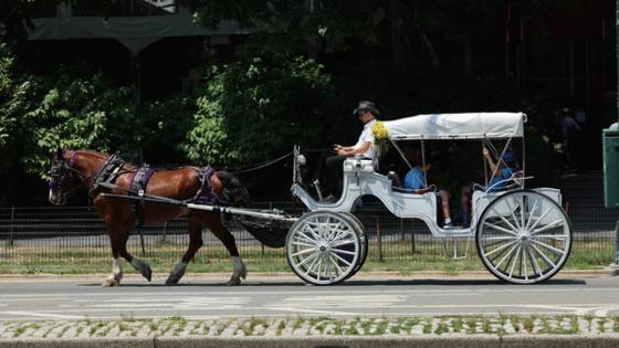 Luiz C. Ribeiro/New York Daily News/TNS