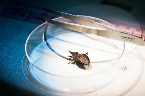 Staff Photographer/The Dallas Morning News/TNS