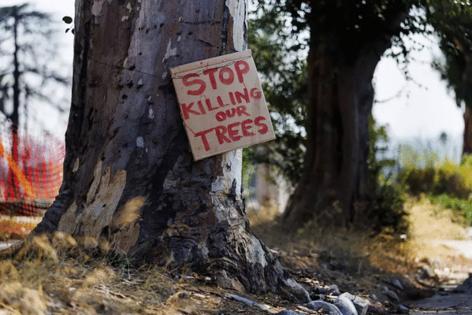 Carlin Stiehl/Los Angeles Times/TNS