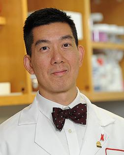 University of Maryland School of Medicine/University of Maryland School of Medicine/TNS