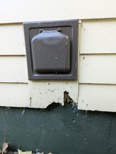 Rainwater splashing up from the gravel just below this dryer vent outlet is the primary cause of this wood rot. My guess is the painter never coated the bottom edge of the wood block, allowing water to soak into the end grain. (Tim Carter/TNS)