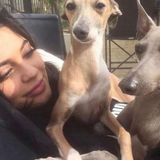 Bang Showbiz / Kylie Jenner is mourning the death of her dog