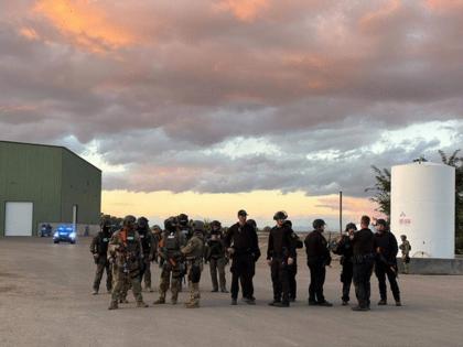 Sally Krutzig/Idaho Statesman/TNS