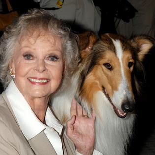 Bang Showbiz / June Lockhart and Lassie