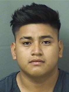 Palm Beach County Sheriff’s Office/TNS/TNS
