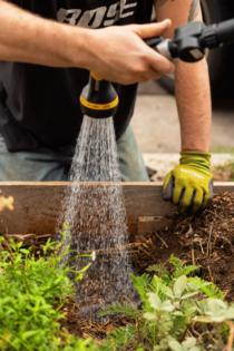 Juliana Yamada/Los Angeles Times/TNS