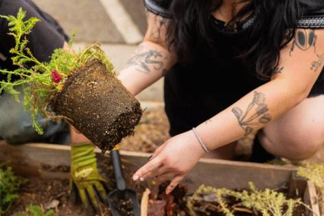 Juliana Yamada/Los Angeles Times/TNS