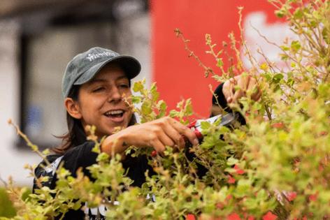 Juliana Yamada/Los Angeles Times/TNS